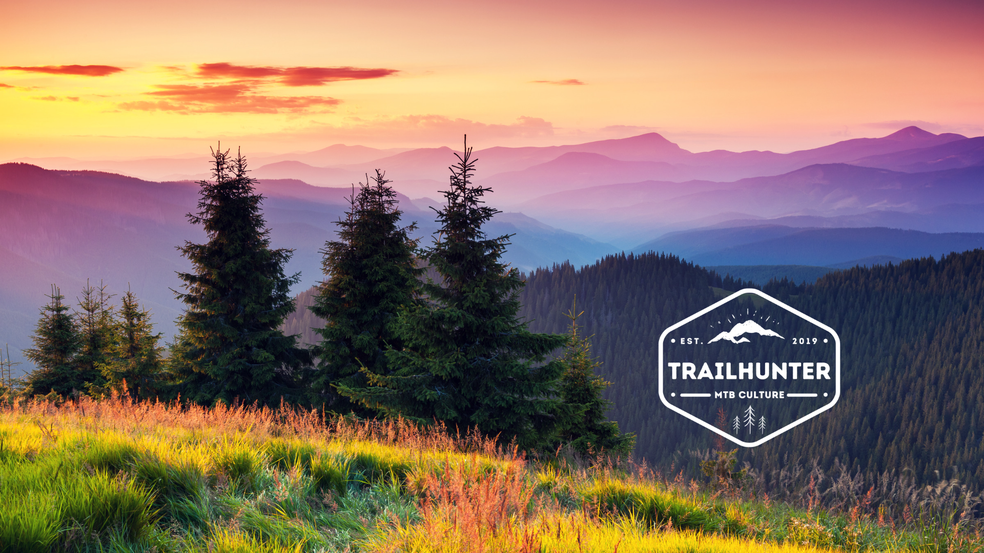 Trailhunter MTB Nature Trees Mountain Logo